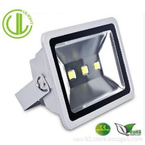 10/20/30/50/80/100W led floodlight, floodlight ,LED Flood Light